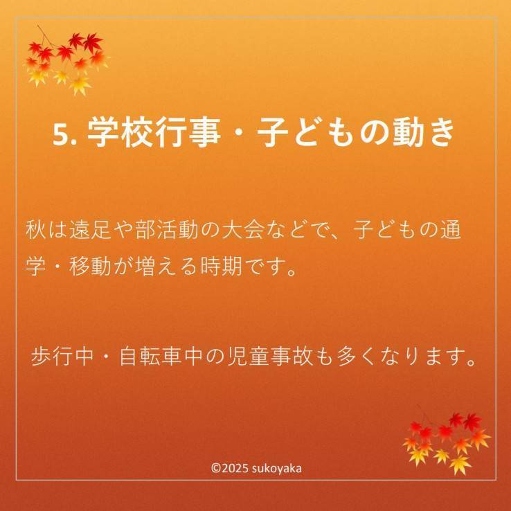 秋に交通事故が増える理由の写真06